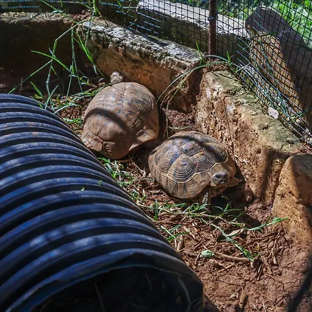 Kapica By Interhome *