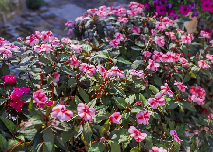 Apartman Kapica By Interhome *