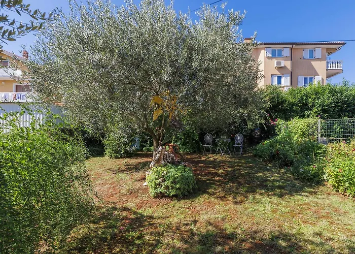 Kapica By Interhome * 우마그